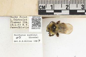 Media type: image;   Entomology 813752 Aspect: labels